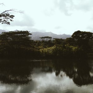 67d73303-fde5-412d-8c4e-aee92007d61c.jpg