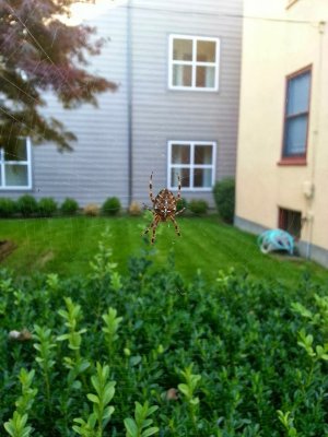 20131019_163441.jpg