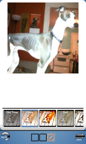 IMG_00000039.png