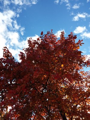 20131101_154750.jpg