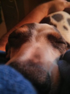 IMG_20130910_210858b.jpg