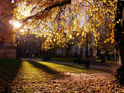 20131119_131644.jpg