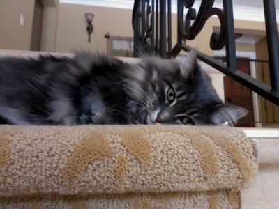 CameraZOOM-20131020122906223.jpg