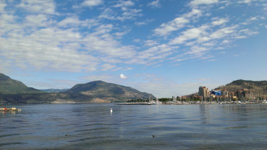 IMAG0086.jpg