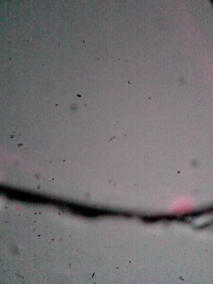 2013-10-21 17.45.18.jpg