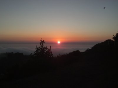 IMG_20130818_195302_520.jpg