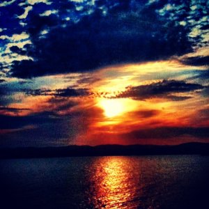 photo (3).JPG