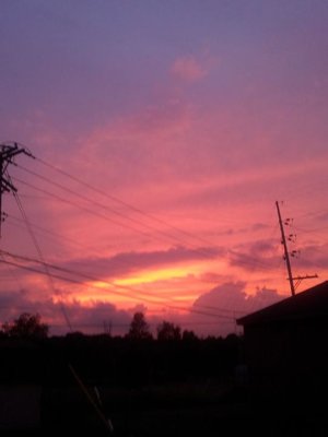 IMG_19532454392451.jpeg