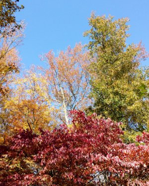 20131102_111245.jpg