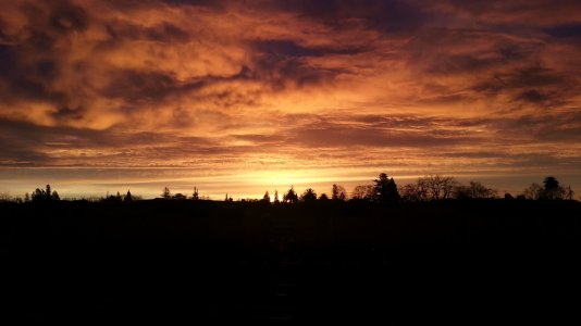 20121221_071946.jpg