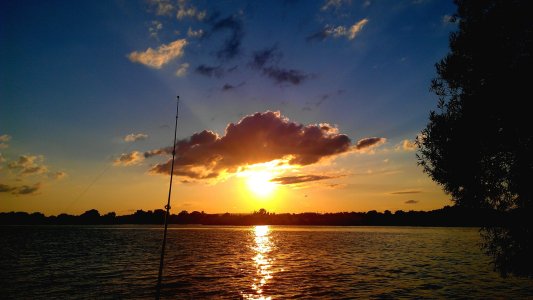 IMAG0784.jpg