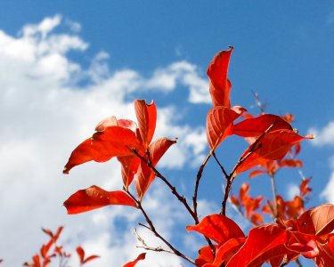20131102_145105.jpg