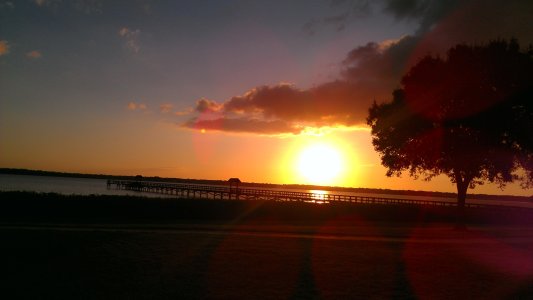IMAG0074.jpg