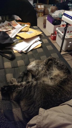 IMAG0164.jpg