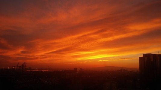 1026131810.jpg
