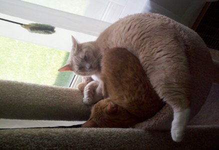 2011-05-24_15-23-56_571.jpg