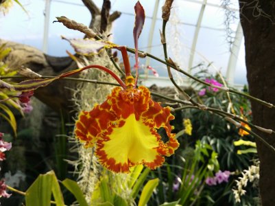 2013-10-26 11.39.34.jpg