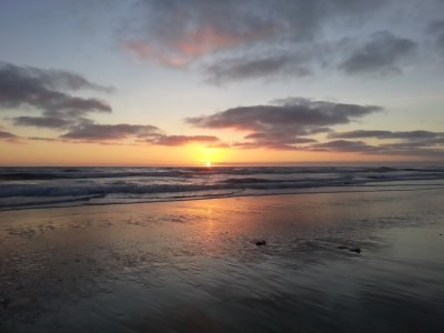 Torrey Pines.jpg