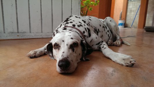 2013-11-15 14.44.55.jpg