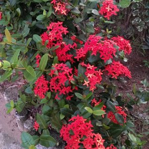 2013-11-15 17.07.23.jpg