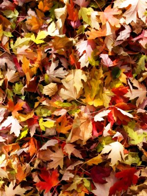 20131103_121058r-TS.jpg