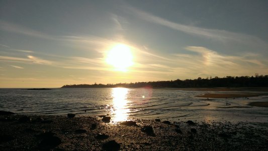 IMAG0911.jpg