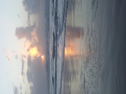 IMG_20131102_175119557.jpg