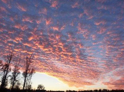 20131106_171325.jpg