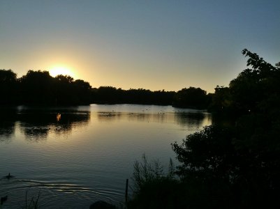 IMG_20130725_201939b.jpg