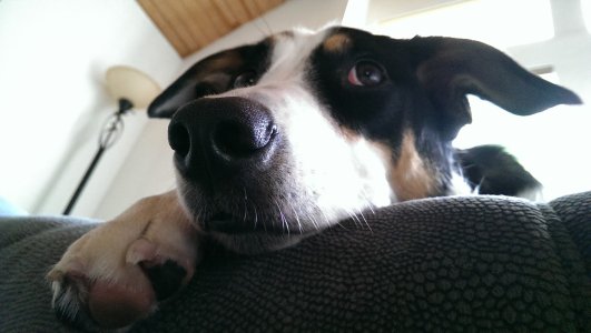 IMAG0012.jpg