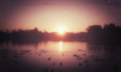 IMAG0209.jpg