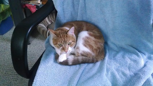 2013-11-03 12.50.30.jpg
