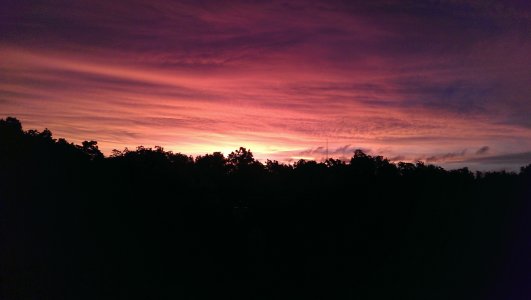 IMAG0586.jpg