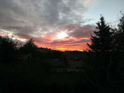 IMAG0535.jpg