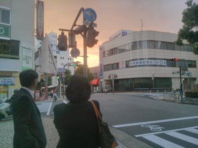 IMG_20131027_025624.jpg
