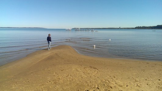 IMAG0253.jpg