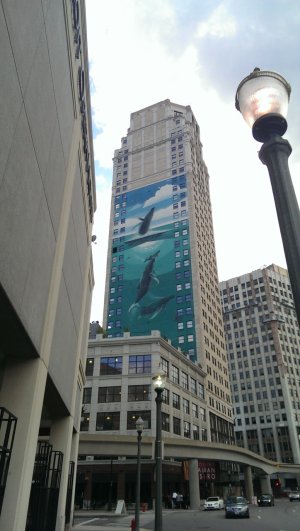 IMAG0168.jpg