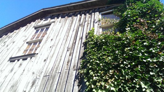 IMAG0268.jpg