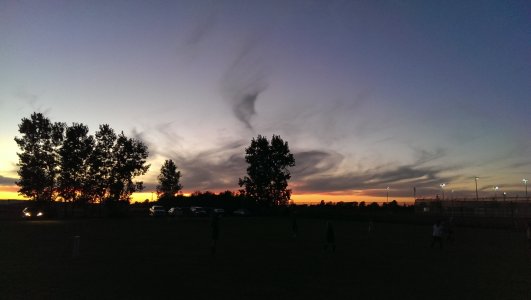 IMAG0794.jpg