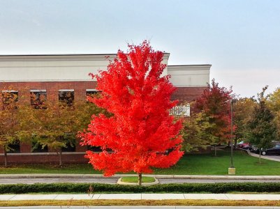 20131029_083300_Richtone(HDR).jpg