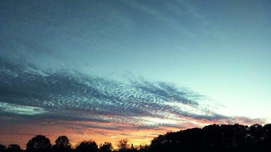 IMG_20131106_171337912~2.jpg