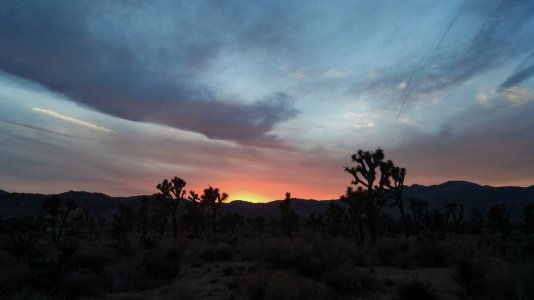 Joshua Tree sunset.jpg