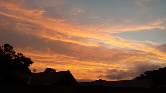 20130609_170156.jpg