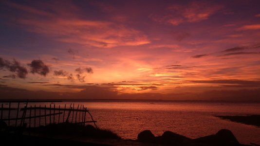 DSC_0800.jpg