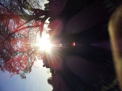20130505_191542.jpg