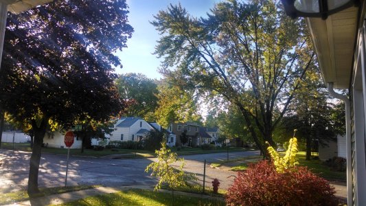 IMG_20131018_085944796_HDR.jpg