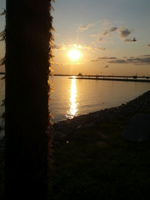 IMG_20120817_190637.jpg