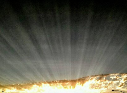 Sunburst.jpg