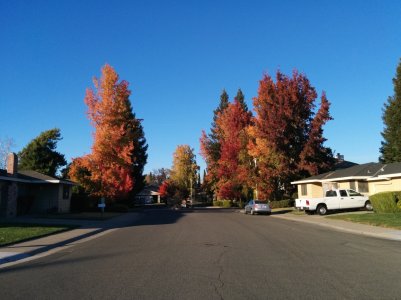2013-11-08 15.39.48.jpg