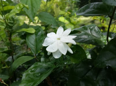 20130814_125139.jpg